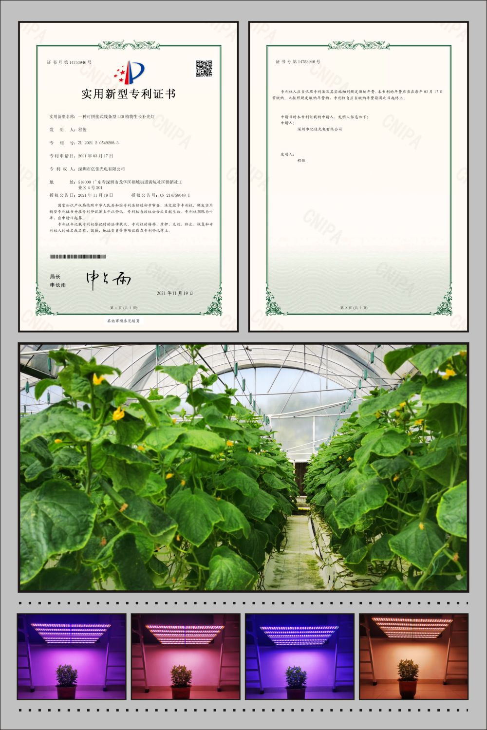 F88星宝植物农场灯实用新型专利
