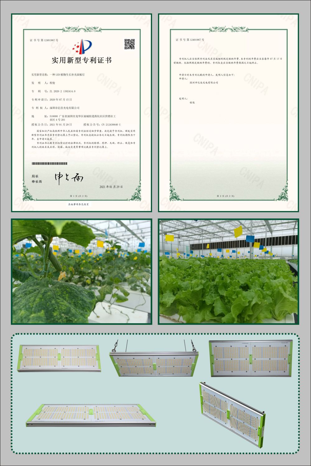 F88星宝植物成长面板灯实用新型专利